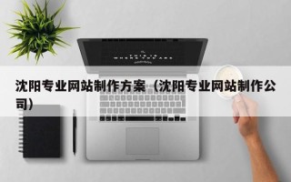 温州沈阳专业网站制作方案（沈阳专业网站制作公司）